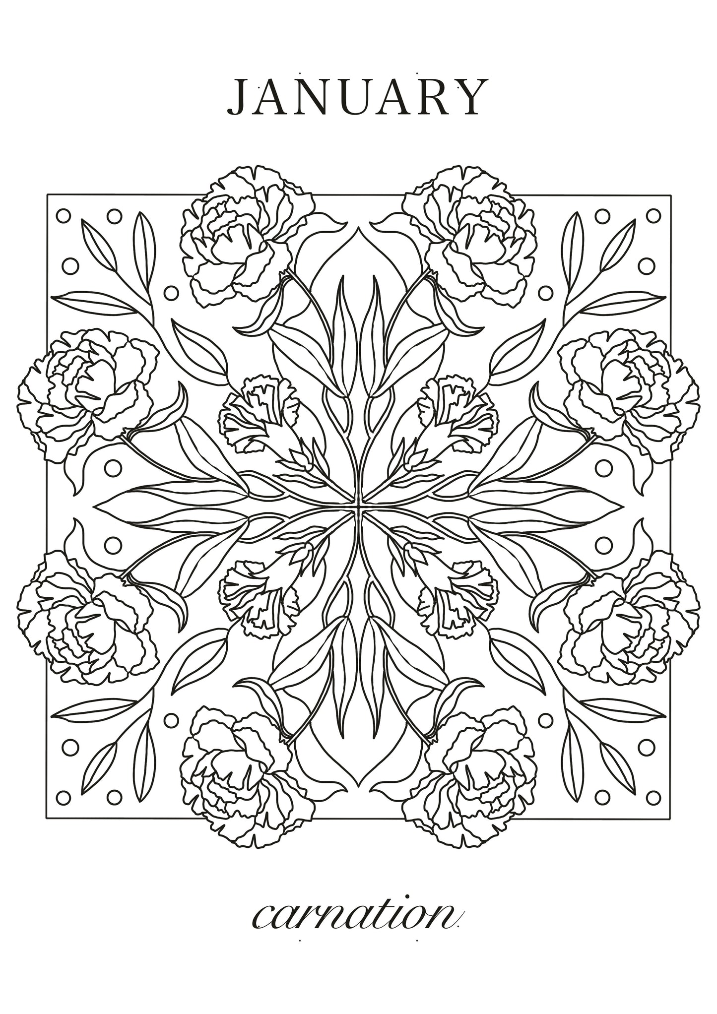 Carnation January Birth Flower Colouring Sheet