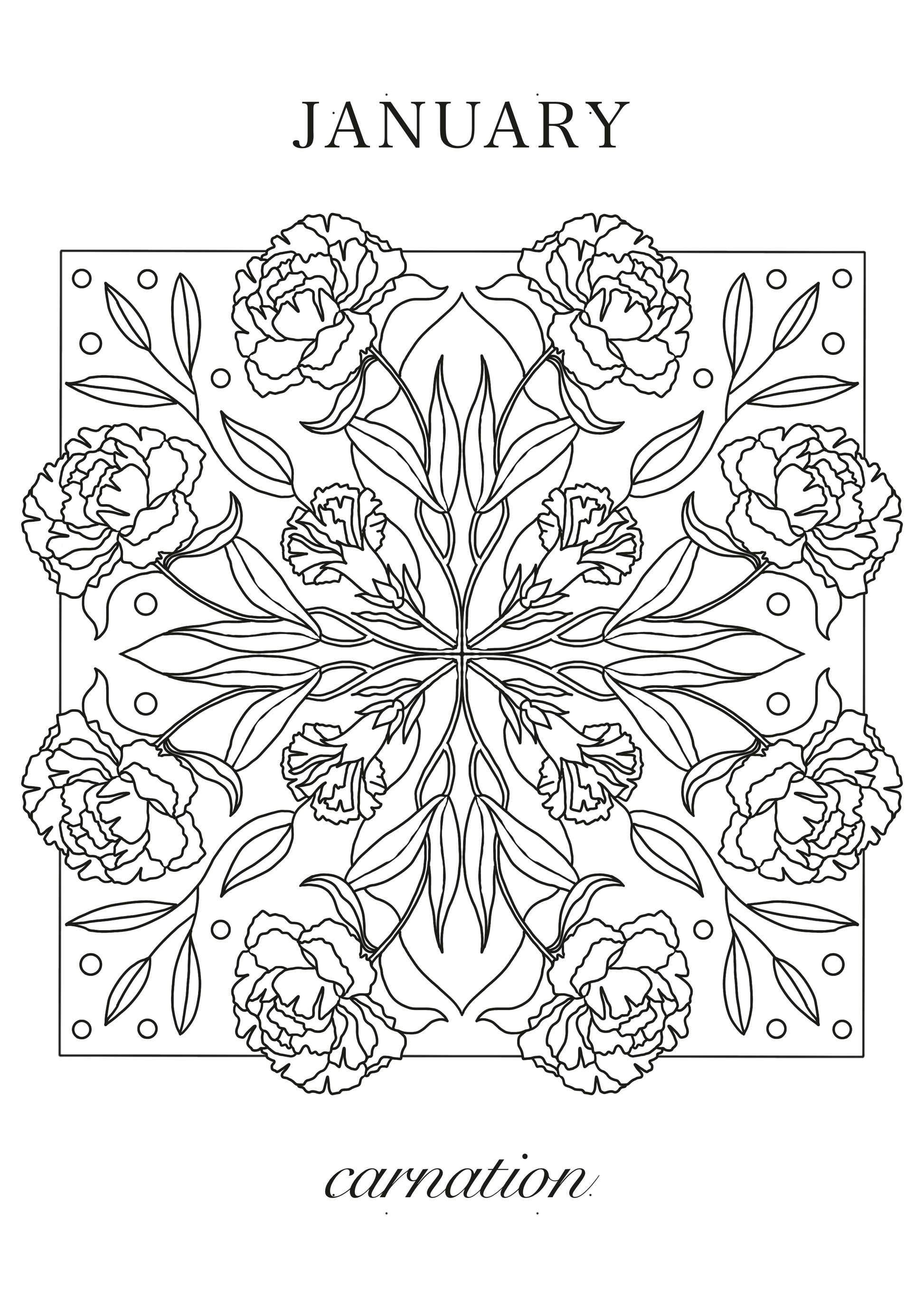 Carnation January Birth Flower Colouring Sheet