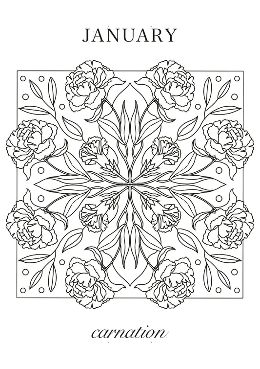 Carnation January Birth Flower Colouring Sheet