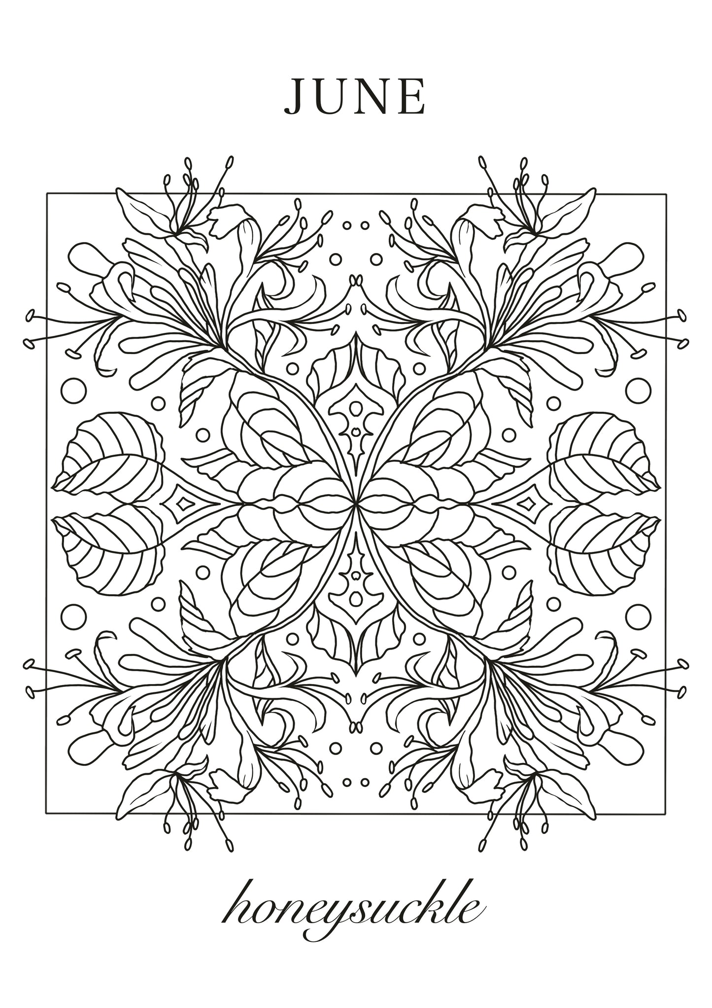 Honeysuckle June Birth Flower Colouring Sheet