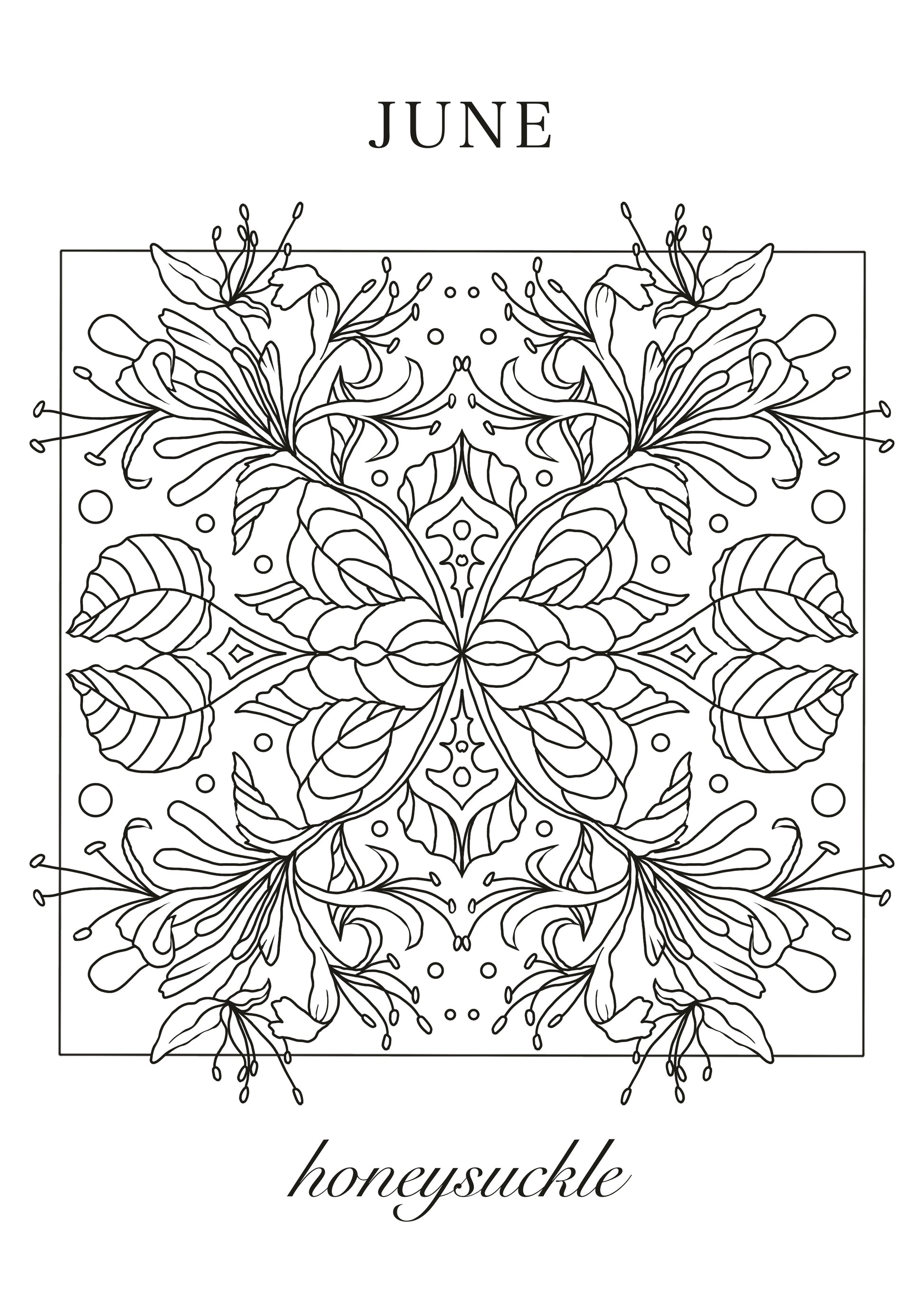 Honeysuckle June Birth Flower Colouring Sheet