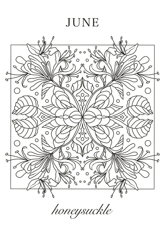 Honeysuckle June Birth Flower Colouring Sheet